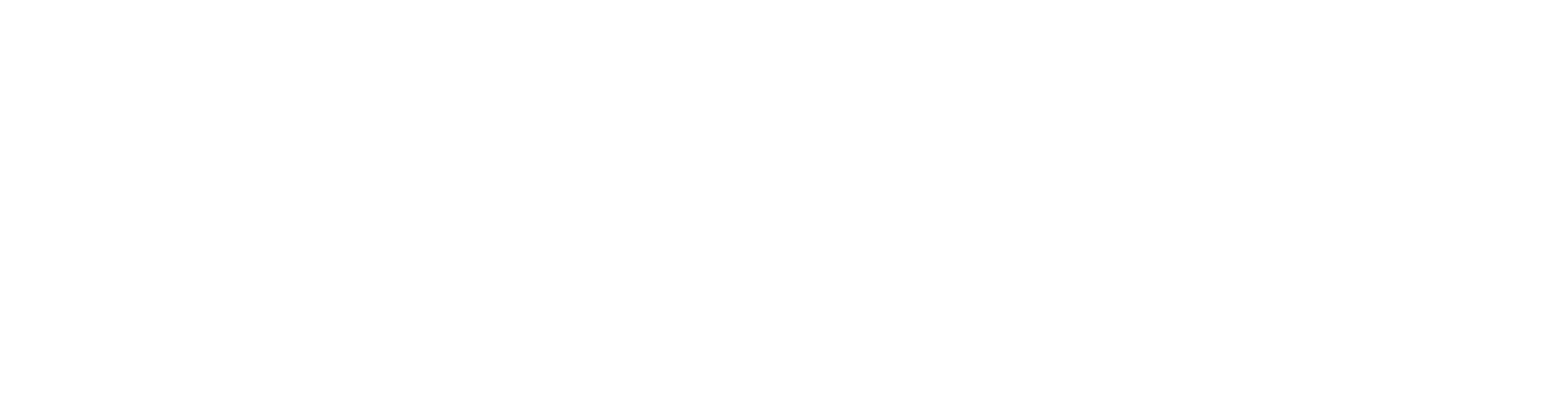 Hoppersoft Logo